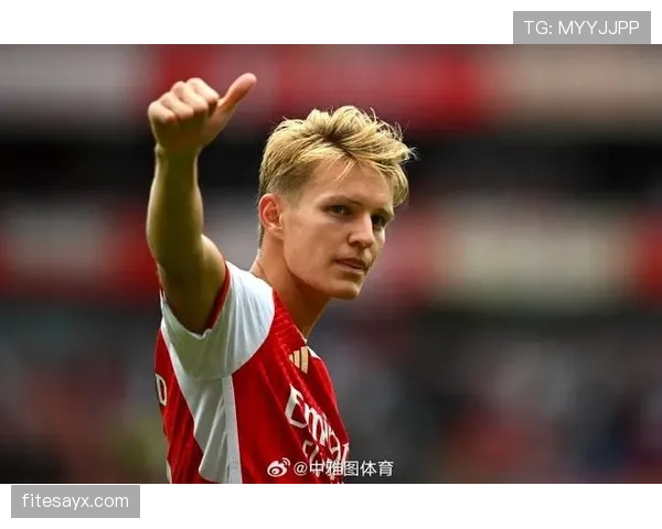 B费与厄德高：体系核心角色的战术对比