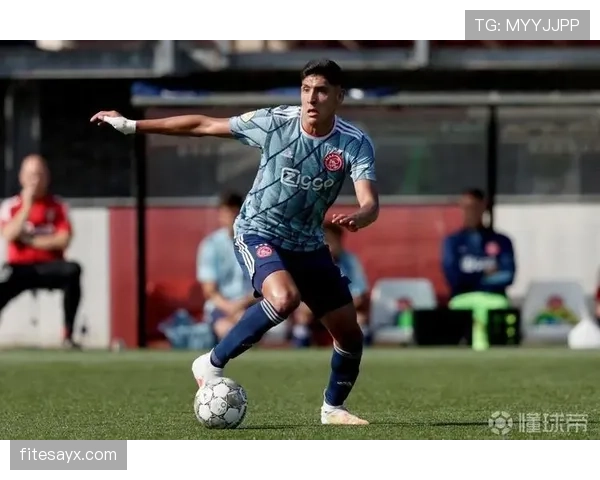 阿尔瓦雷斯多位置胜任能力分析 阿尔瓦雷斯多位置胜任能力分析