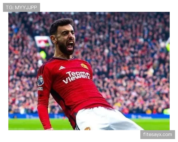 B费战术角色争议:局限性是否制约球队上限 B费战术角色争议:局限性是否制约球队上限