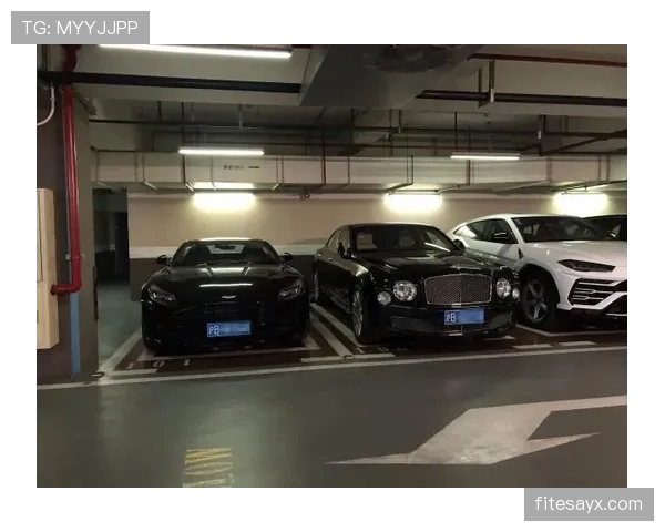 林孝埈又换豪车了，车库都快当展览馆了？