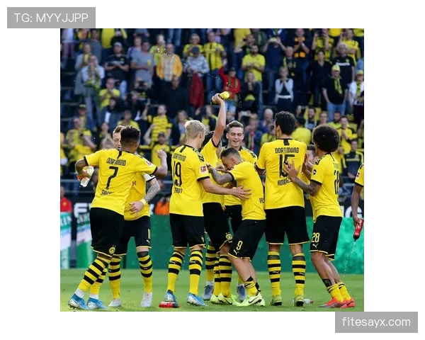 多特蒙德进攻缺乏层次：战术体系单一化对赛季走势的影响