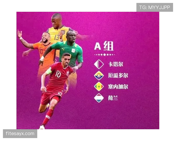 世界杯A组最新出线概率排行榜出炉