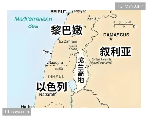 伊朗对埃及战报:补时进球被取消成焦点 伊朗对埃及战报:补时进球被取消成焦点
